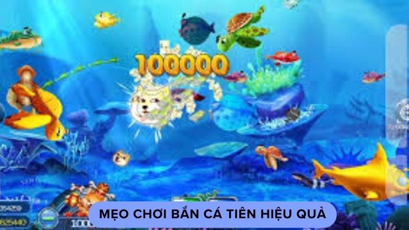 ban ca tien 3 1 Mẹo chơi bắn cá tiên hiệu quả