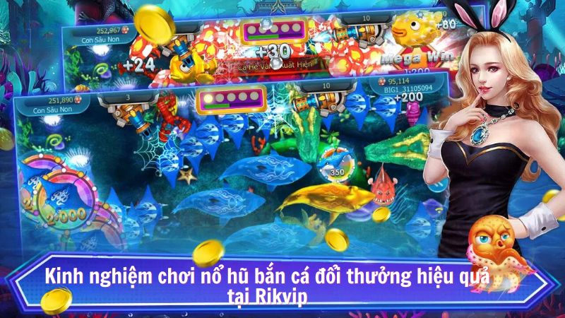 no hu ban ca doi thuong 3 Kinh nghiệm chơi nổ hũ bắn cá đổi thưởng hiệu quả tại Rikvip